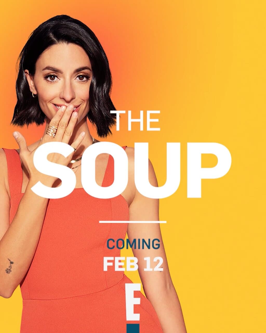 Image de la série The Soup