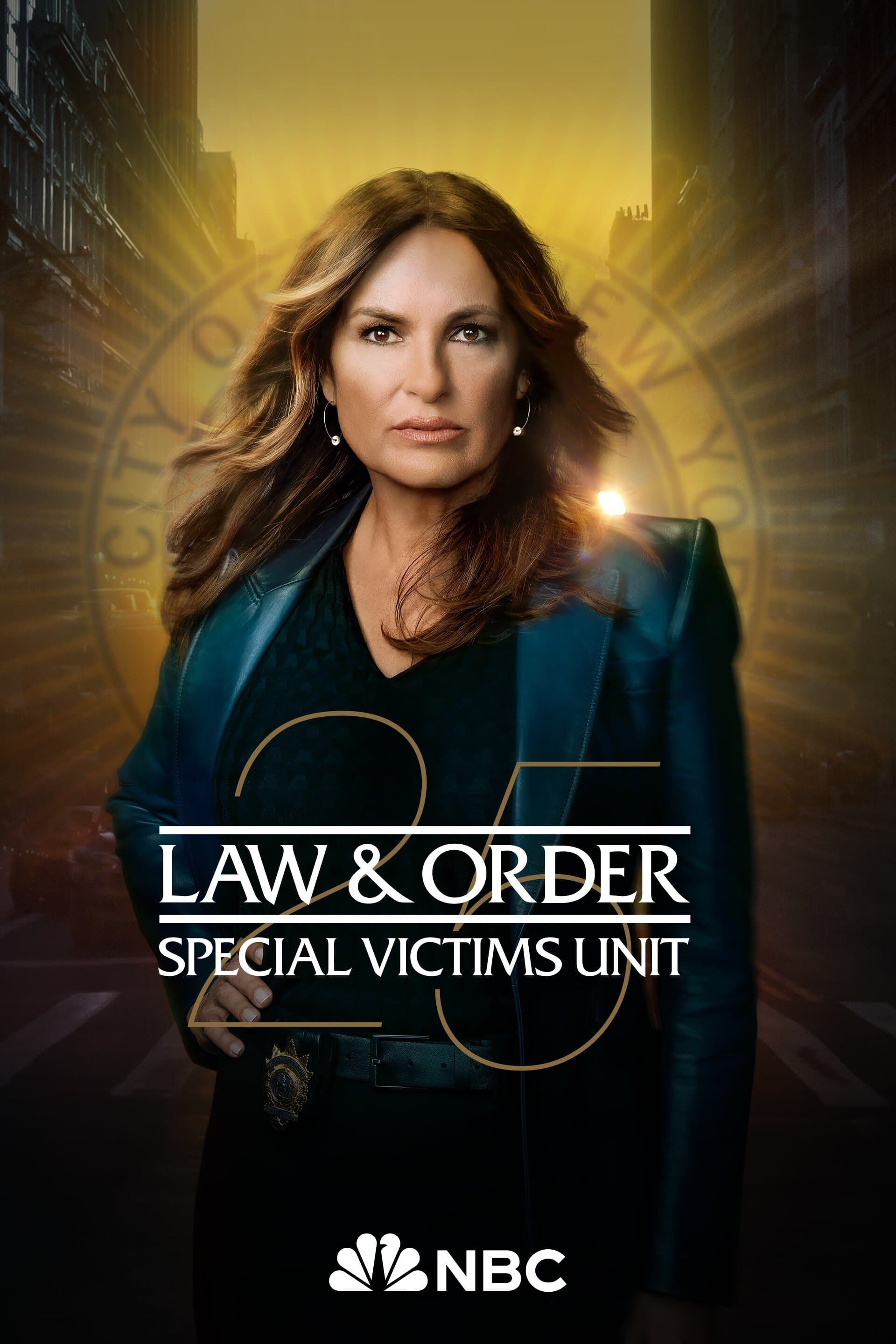 Image de la série Law & Order: Special Victims Unit