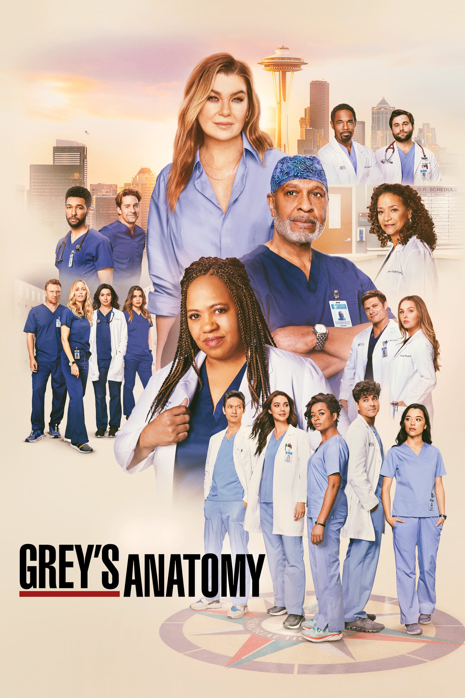 Image de la série Grey's Anatomy