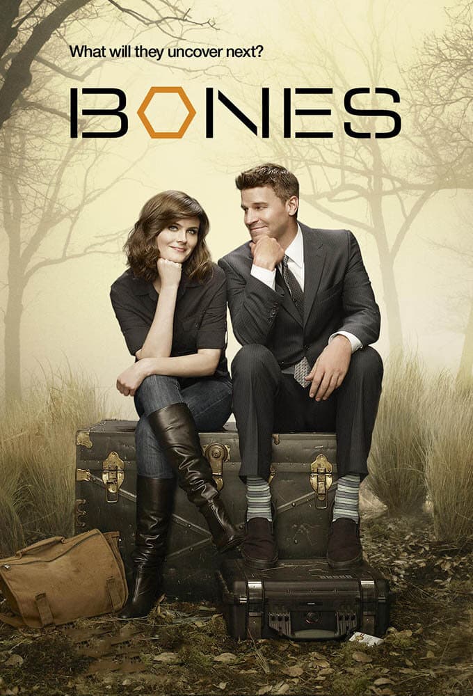 Image de la série Bones